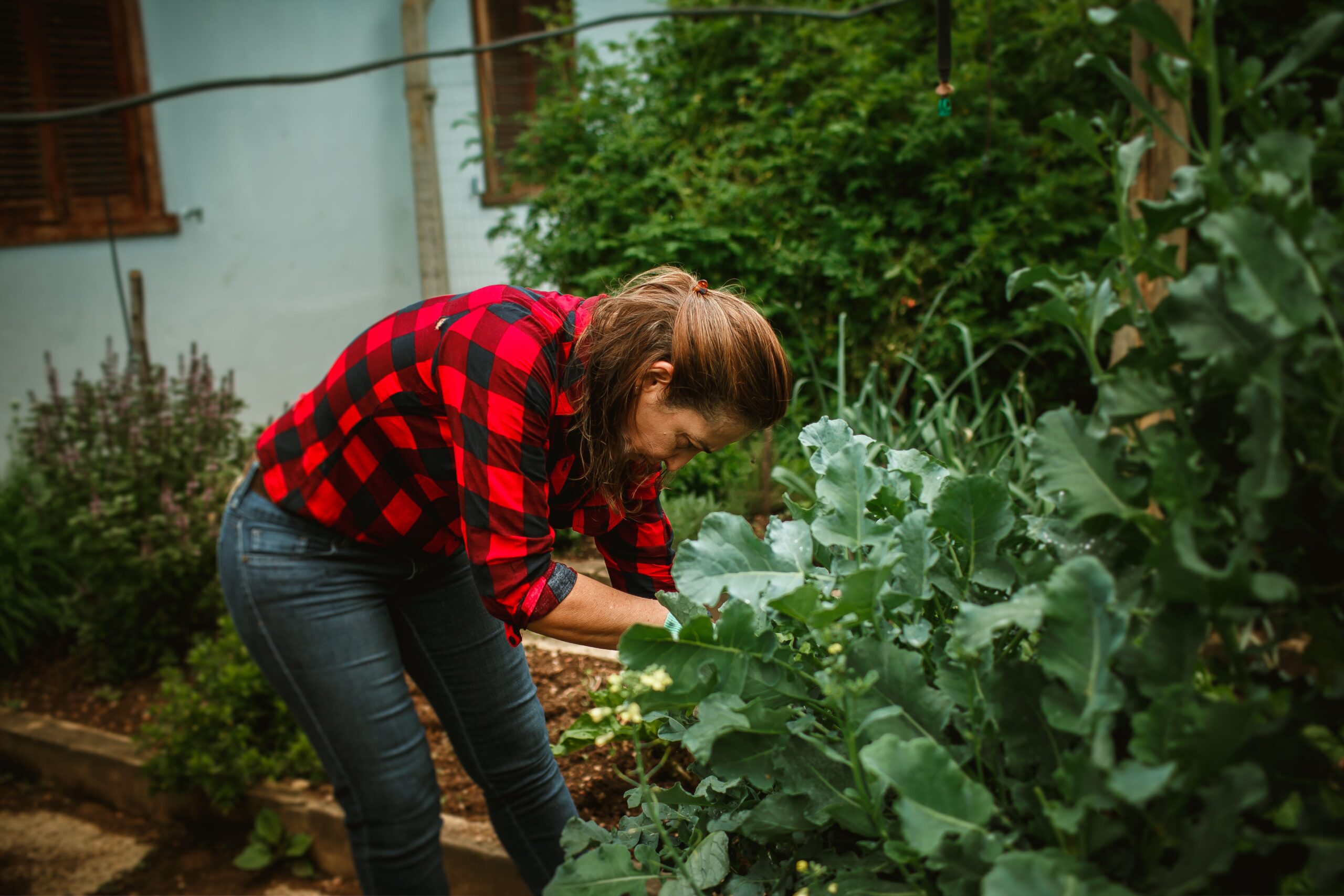 I’m Trading My Country House for a Town House. No, I Haven’t Given Up on Homesteading