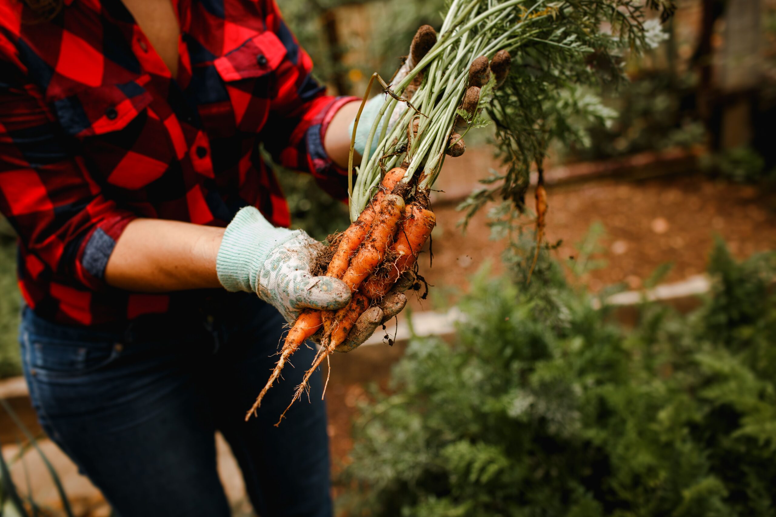 Overwhelmed By Your Garden Harvest? Here’s How To Preserve It Before It Goes To Waste