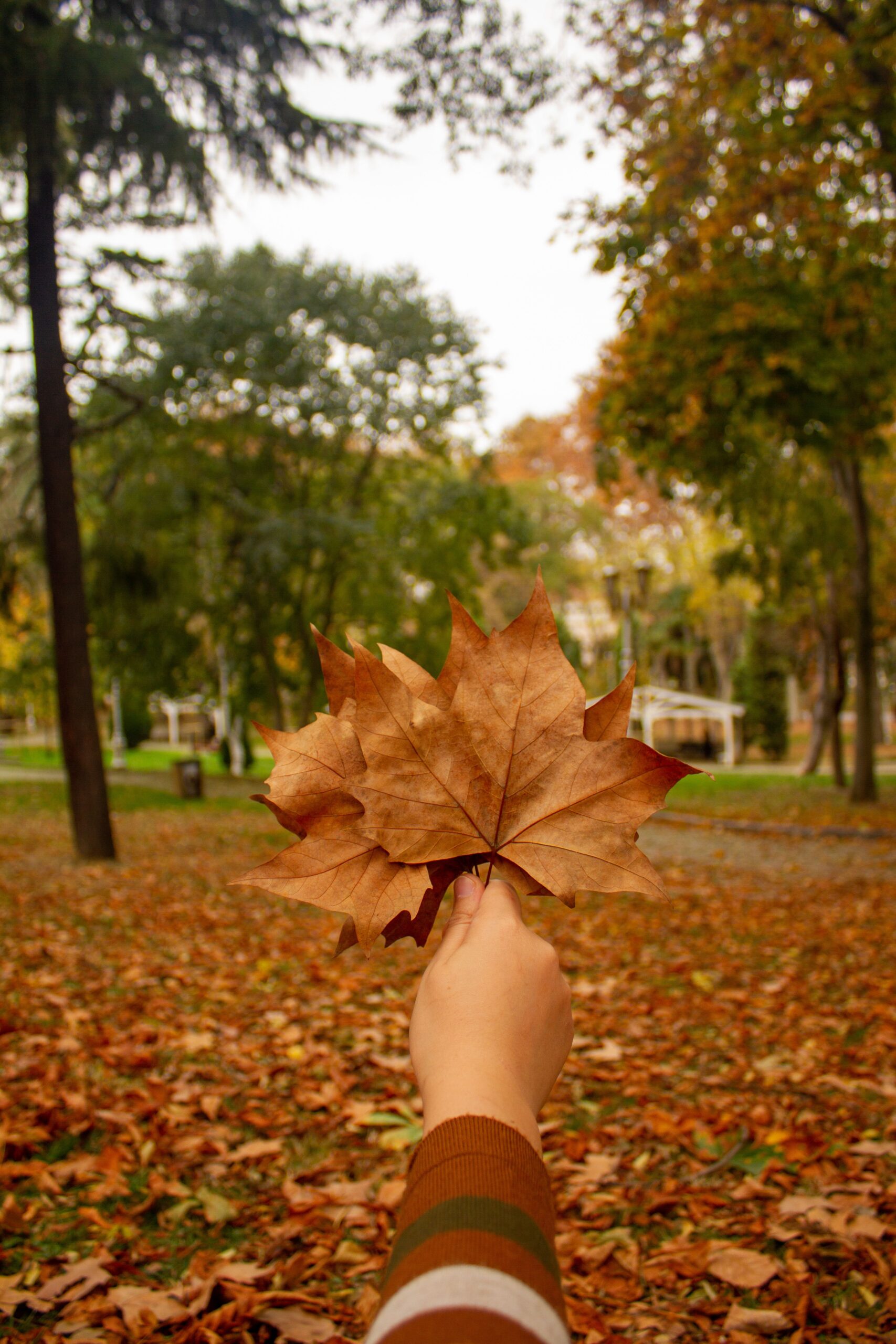 Old Fashioned Fall Traditions to Bring Back This Year
