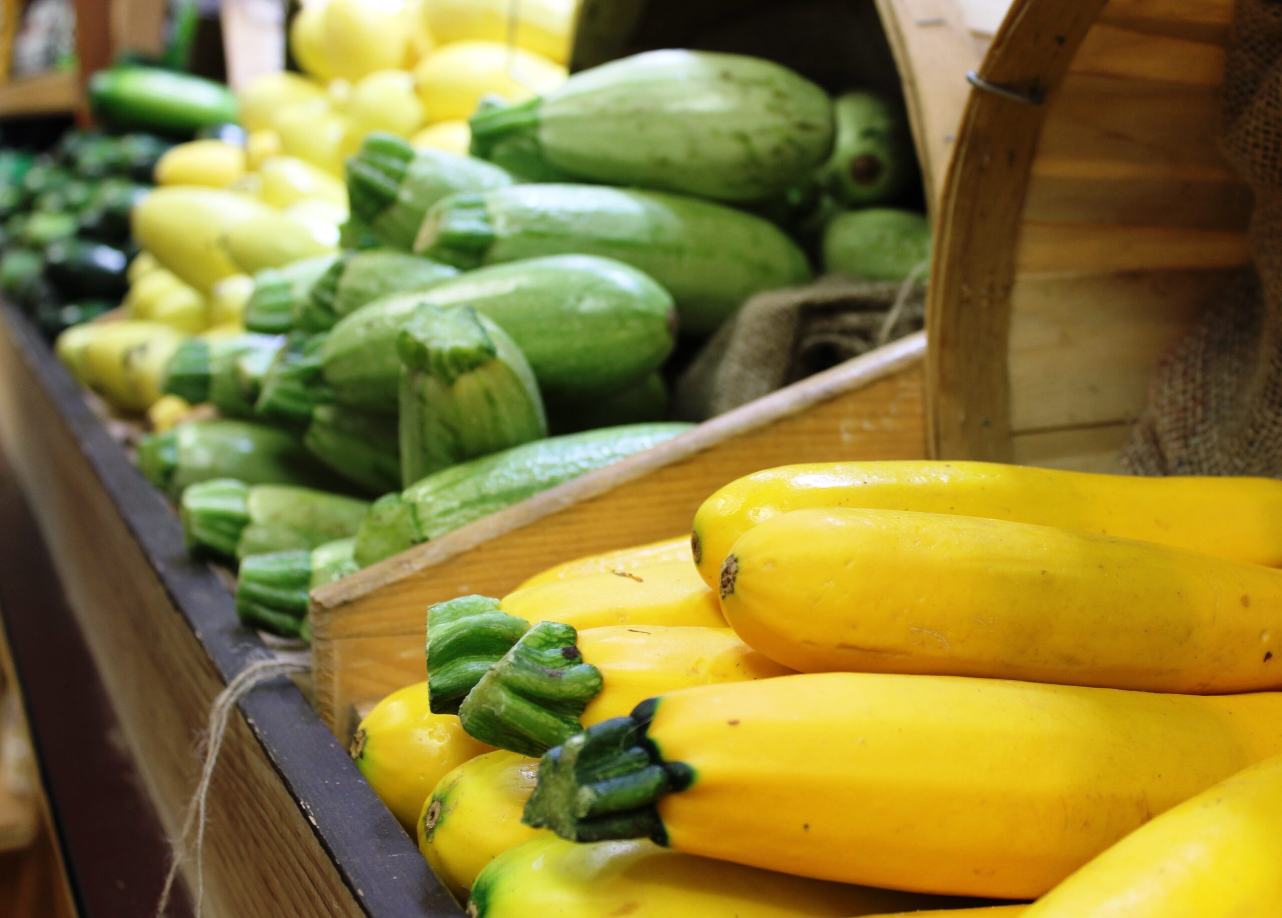 What to do when you Have Too Many Yellow Squash