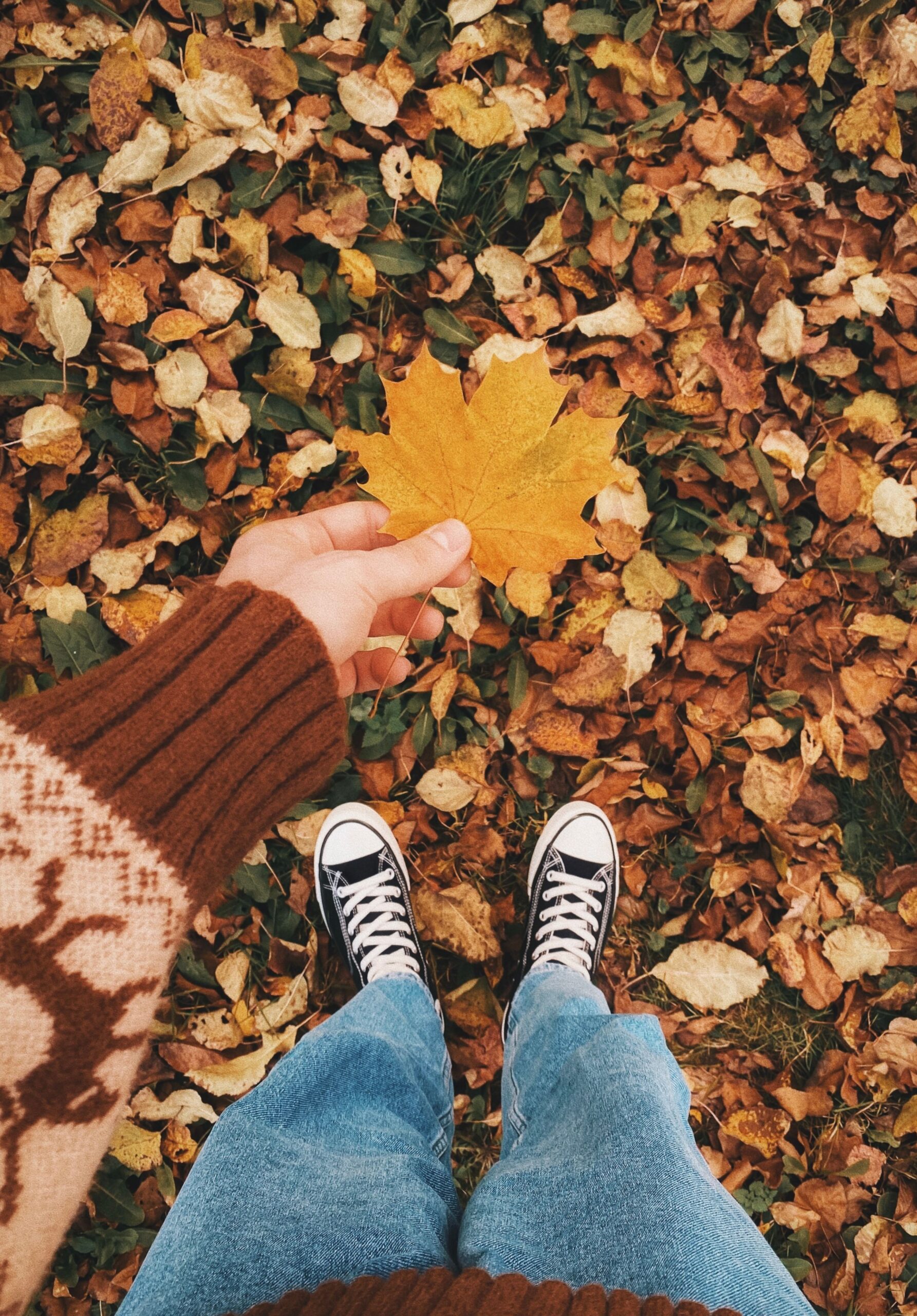 What Is Autumncore? Your Complete Guide to the Cozy Fall Aesthetic