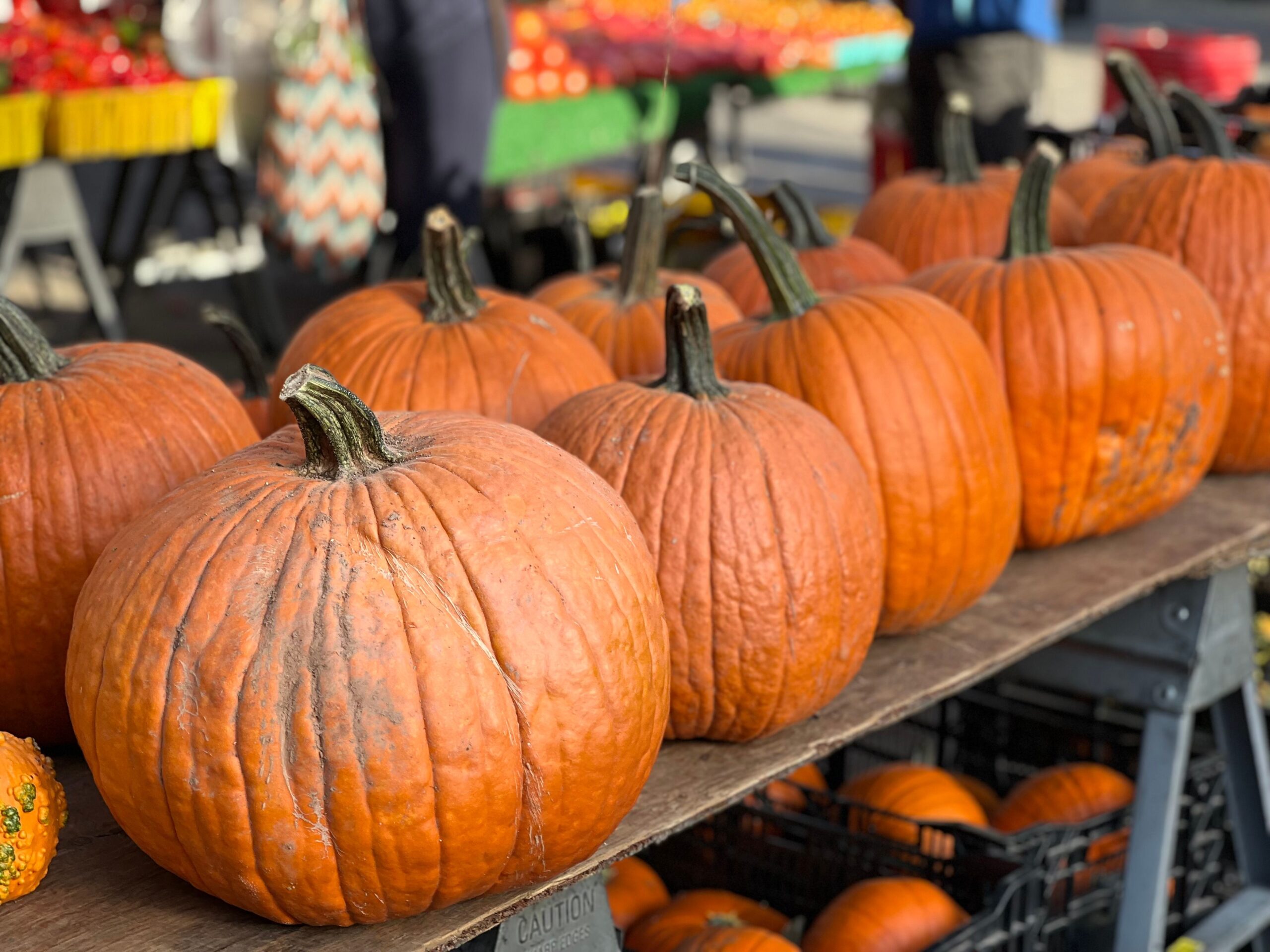 What to Do With Too Many Pumpkins